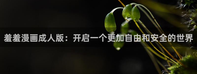 omofun正版下载安卓：羞羞漫画成人版：开启一个更加自由和安全的世界