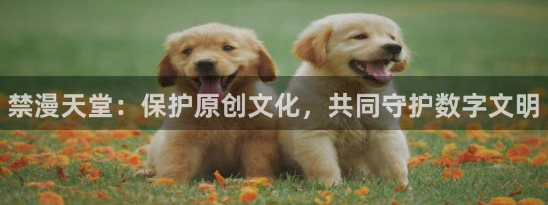 omofun的官网：禁漫天堂：保护原创文化，共同守护数字文明