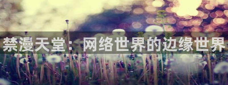 omofun网页版官网：禁漫天堂：网络世界的边缘世界