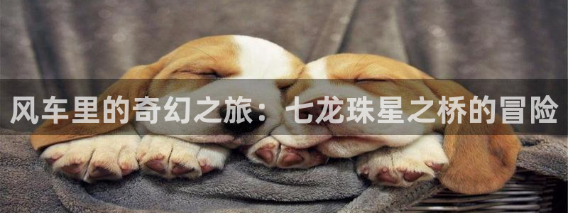 omofun正版官方下载链接