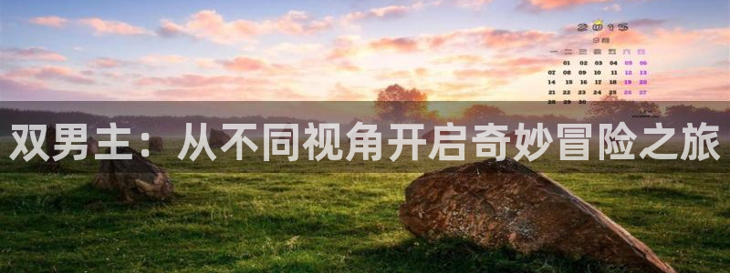 omofun正版官方：双男主：从不同视角开启奇妙冒险之旅