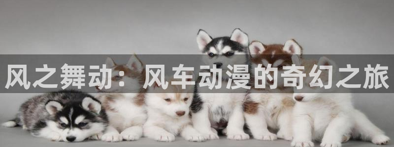omofun网页入口版：风之舞动：风车动漫的奇幻之旅
