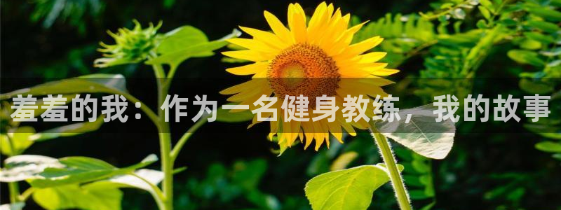 omofunapp官网下载：羞羞的我：作为一名健身教练，我的故事