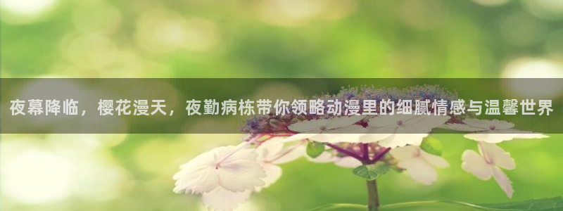 omofunv：夜幕降临，樱花漫天，夜勤病栋带你领略动漫里的细腻情感与温馨世界