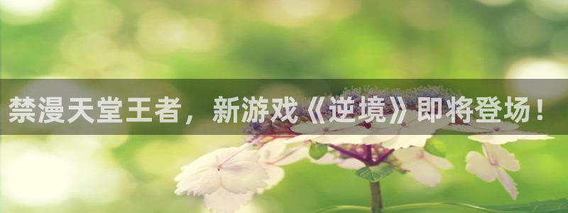 动漫共和国omofun下载：禁漫天堂王者，新游戏《逆境》即将登场！