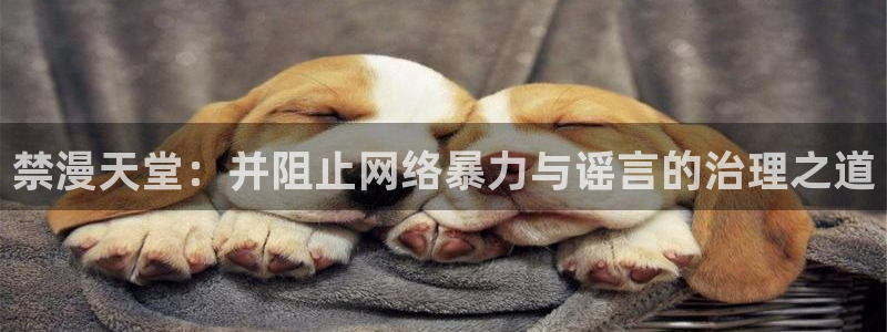 动漫之家：禁漫天堂：并阻止网络暴力与谣言的治理之道