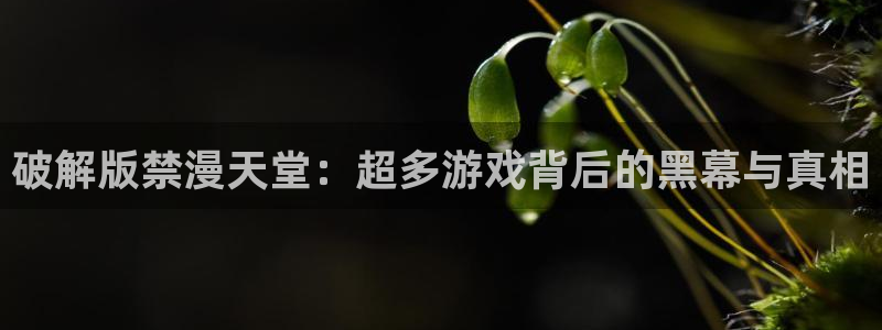 动漫之家入口下载
