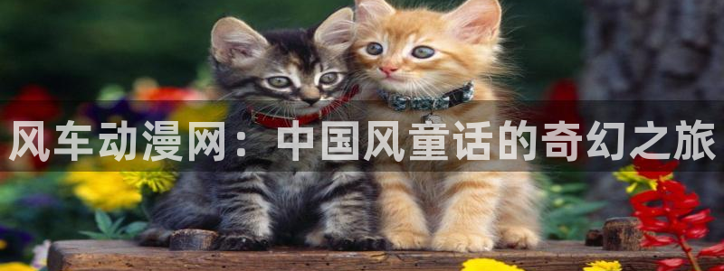 omofun怎么下：风车动漫网：中国风童话的奇幻之旅
