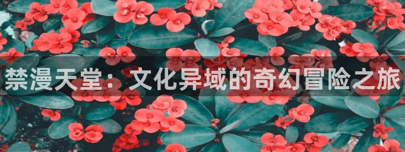 omofun动漫在线观看免费全集：禁漫天堂：文化异域的奇幻冒险之旅