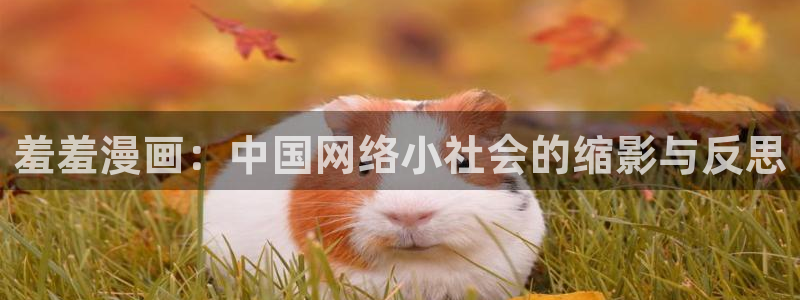 omofun正版下载ios：羞羞漫画：中国网络小社会的缩影与反思