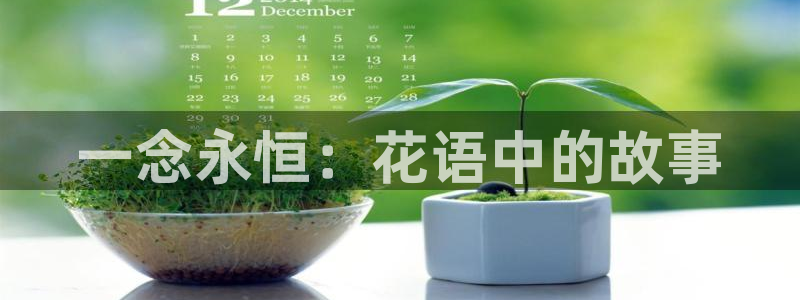 动漫之家进入ios：一念永恒：花语中的故事