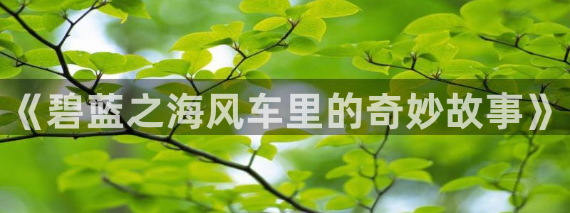 omofun怎么投屏：《碧蓝之海风车里的奇妙故事》