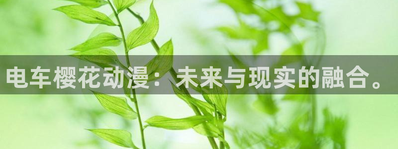 omofun.top：电车樱花动漫：未来与现实的融合。