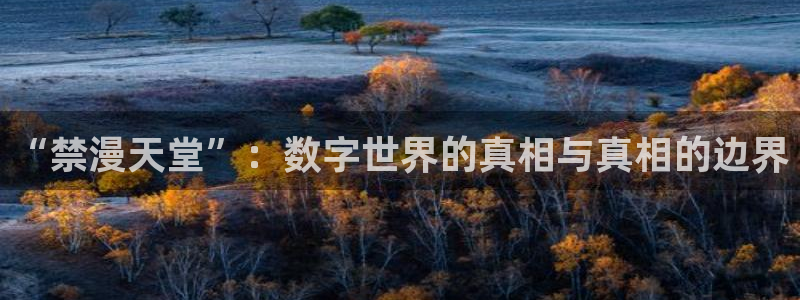 omofun动画网：“禁漫天堂”：数字世界的真相与真相的边界