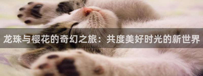 omofun下载入口：龙珠与樱花的奇幻之旅：共度美好时光的新世界