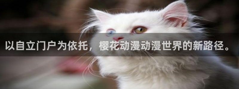 omofun电脑版：以自立门户为依托，樱花动漫动漫世界的新路径。
